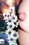 nipple and daisies